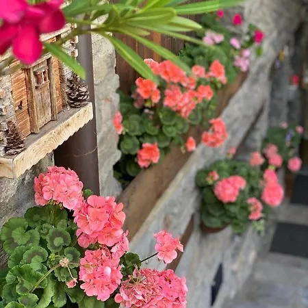 Chambres D'Hotes De Montagne Berthod Guest house Pre-Saint-Didier